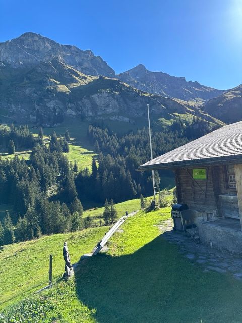 Kategorienbild Sömmerungsbetrieb
