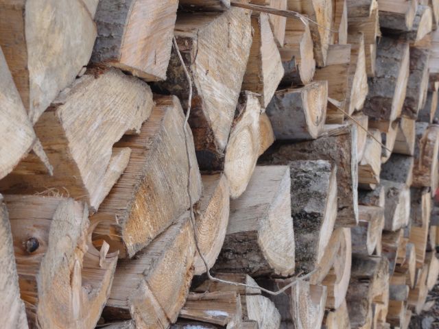 Holz