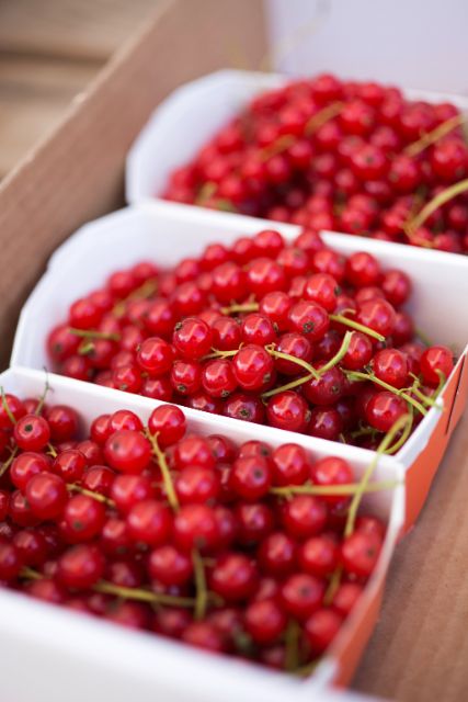 beeren