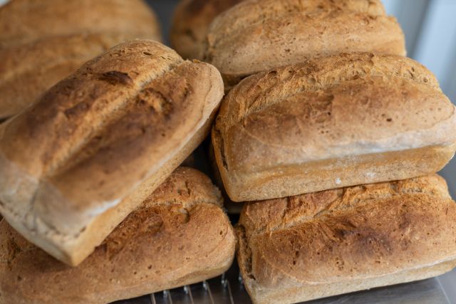 Brot
