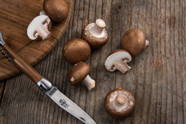 Pilze & Champignons