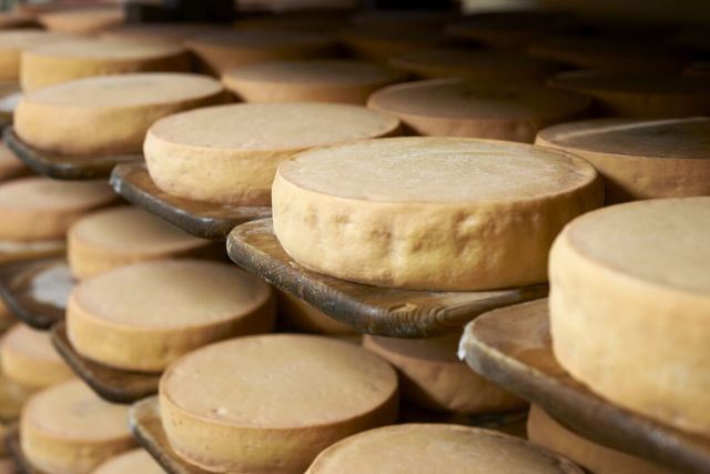 Käse
