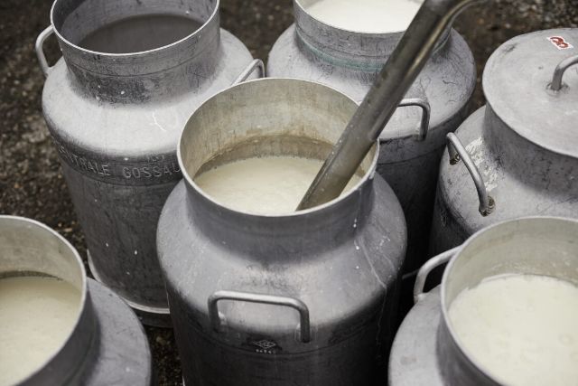 Milch