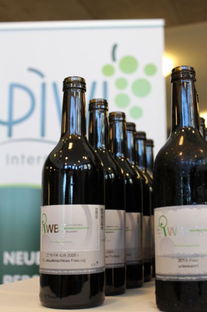 Wein (2)
