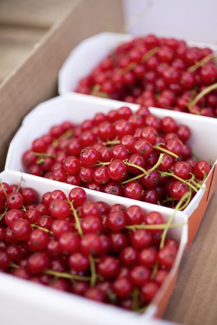 Preiselbeeren