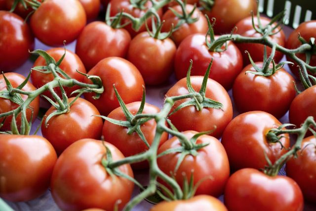 Tomaten